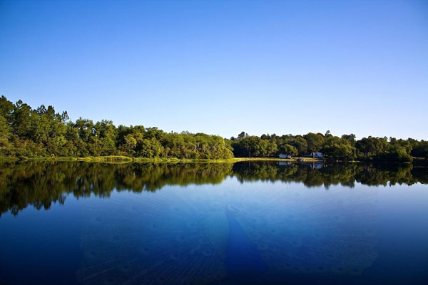 Dancing Peacock Paradise photo by Azore